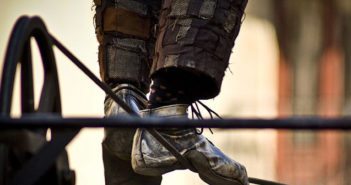 Walking a Legal Tightrope With Screening and Training screening