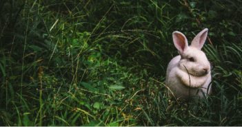 Easter Extras to Inspire Kids’ Love for Jesus Easter