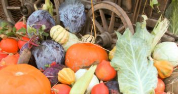 Thanksgiving Ideas: 6 Great Service Project Ideas to Inspire Grateful Kids service projects