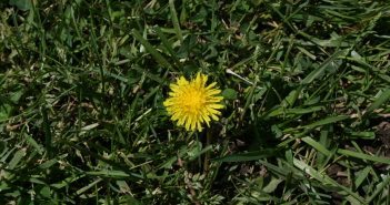 Special Needs: How to Serve Children With Allergies allergies