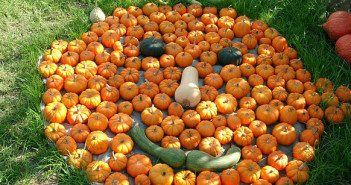 Shine the Light on Halloween: Elementary Lesson Shine the Light on Halloween: Elementary Lesson