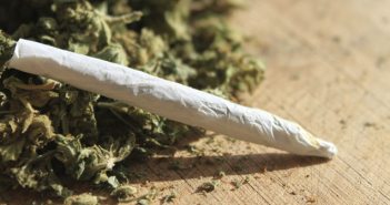 Marijuana and Your Ministry marijuana-weed-ministry