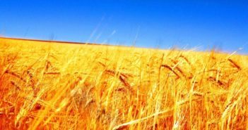 Bible Lesson: True Blue Ruth Ruth