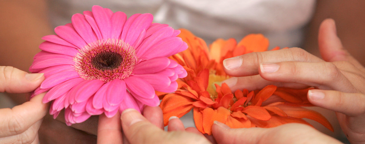 Two sets of hands touch some spring flowers.