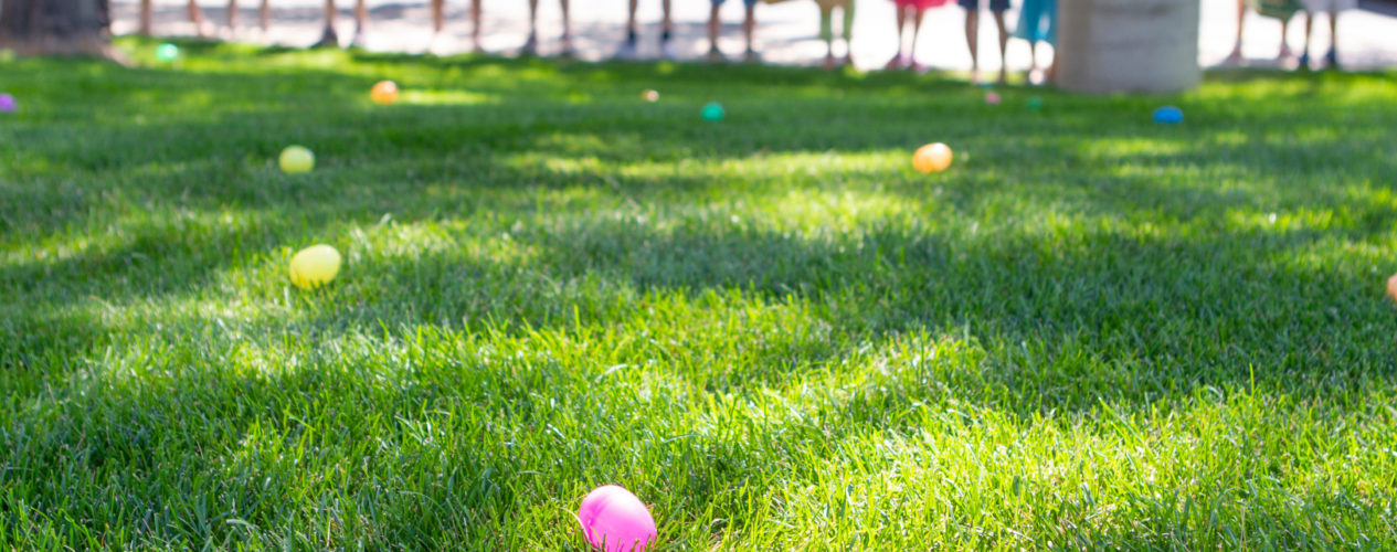 A group of children line up at the beginning of a Easter egg hunt.