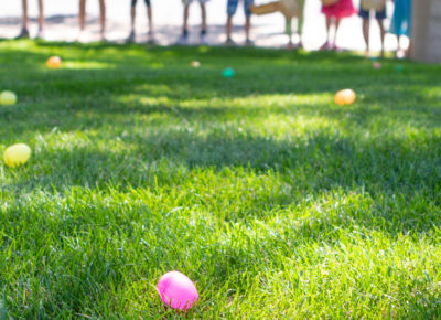 A group of children line up at the beginning of a Easter egg hunt.