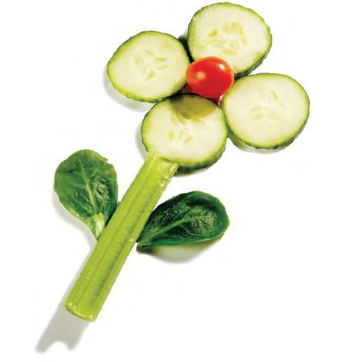 edible-garden-snack