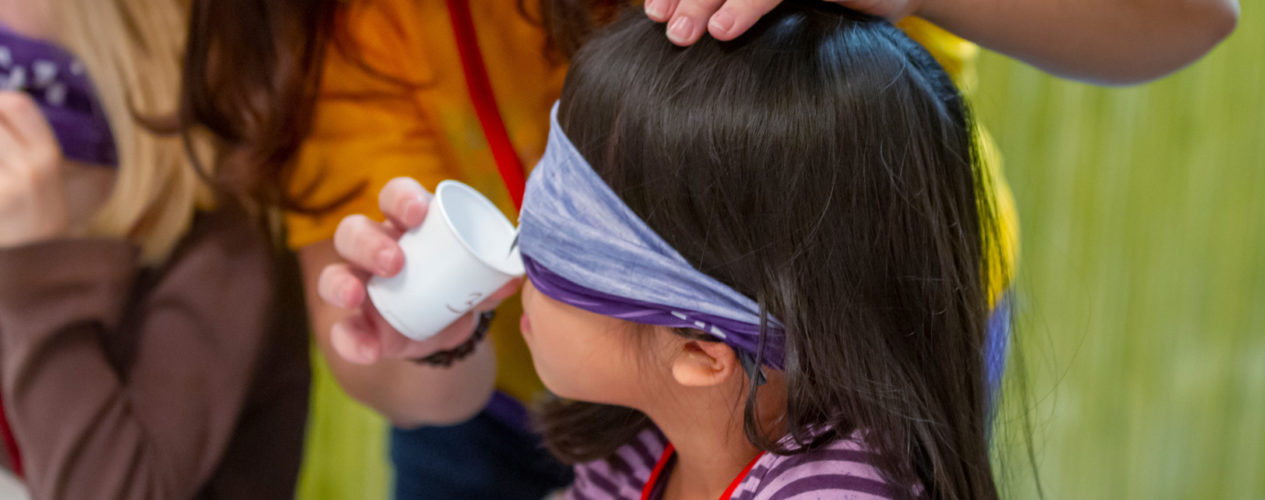 An elementary-aged girl is blind folder and smelling something in a small paper cup.