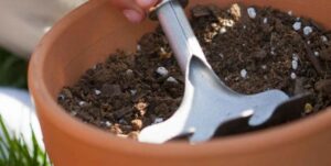 New life pot fall activity idea